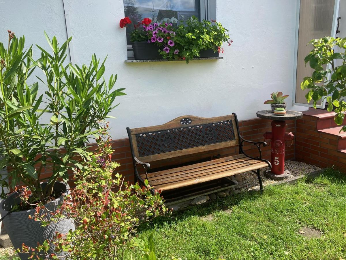Haus Steffine Apartment