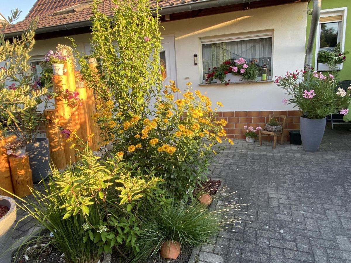 Haus Steffine